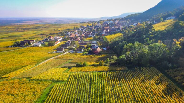 Domaine-Mathilde Jaegler en automne : husseren-les-Chateaux
