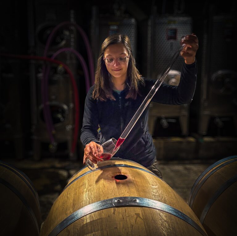 Cave domaine Jaegler producteur vin