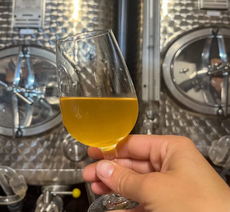 conseils & actu vins Alsace : dégustation à la cave