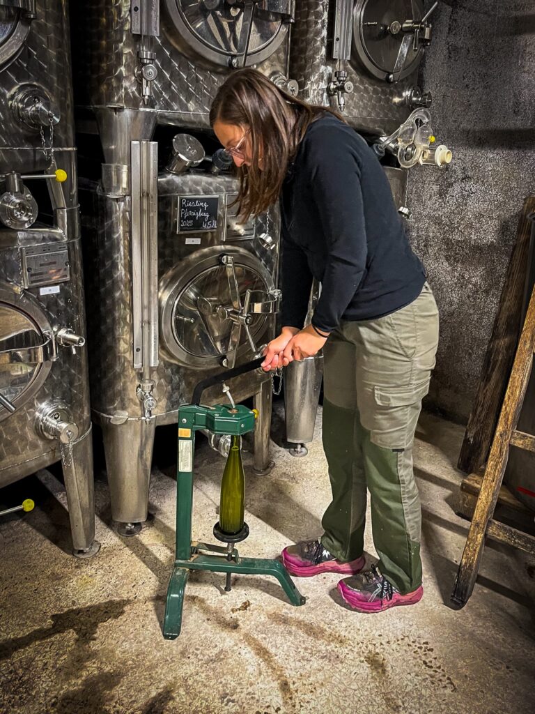 mise en bouteille domaine Jaegler producteur vin