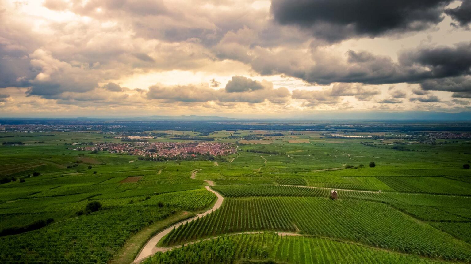 Vue aérienne des vignes du Domaine Jaegler, dans la vallée de Munster