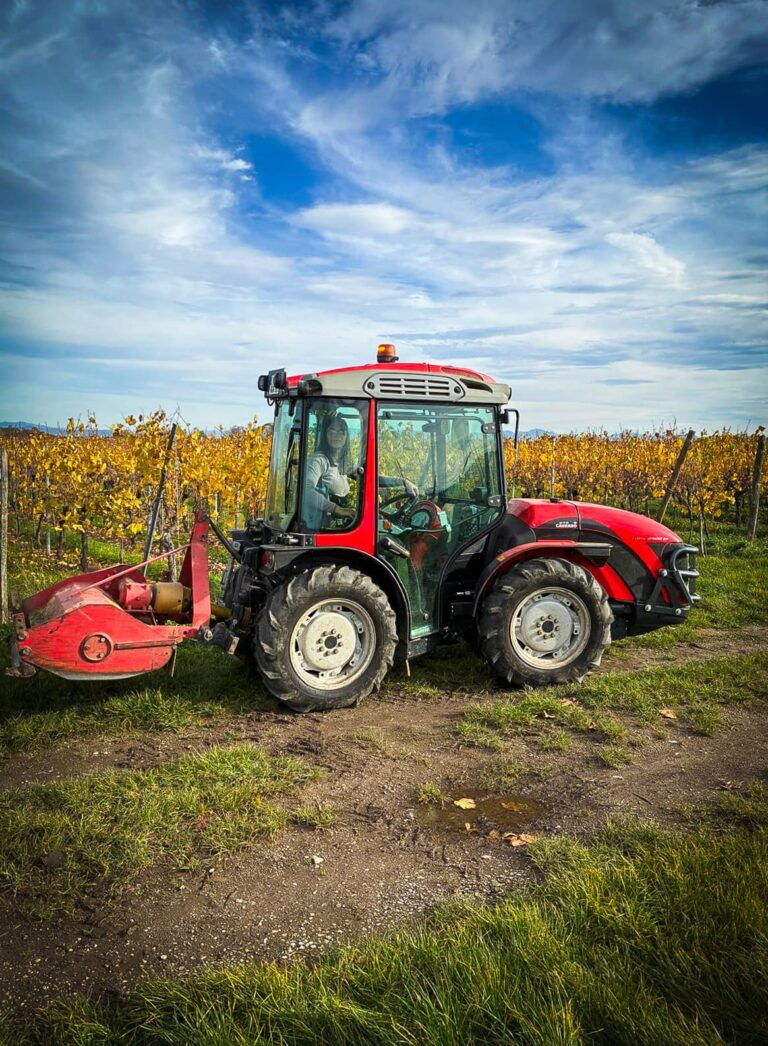 Domaine Mathilde productrice de vin d'Alsace dans ses vignes