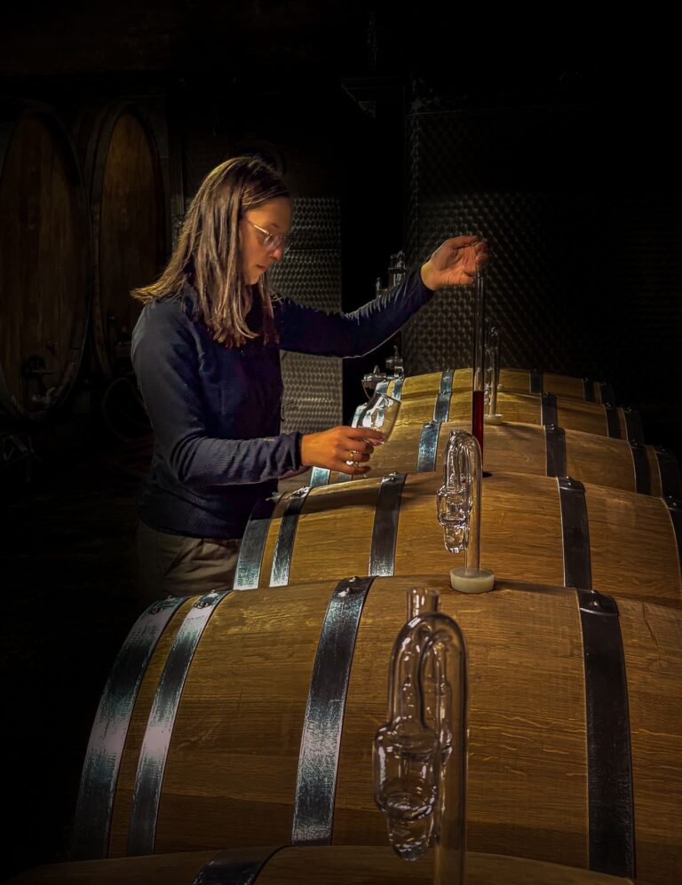 Domaine Jaegler, productrice de vins d'altitude, dans la vallée de Munster