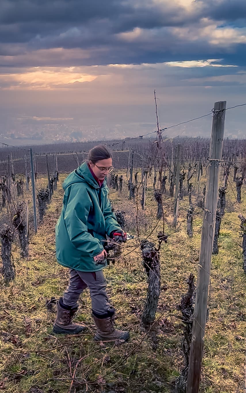 Mathilde Jaegler, dans ses vignes, productrice de vins d'Alsace