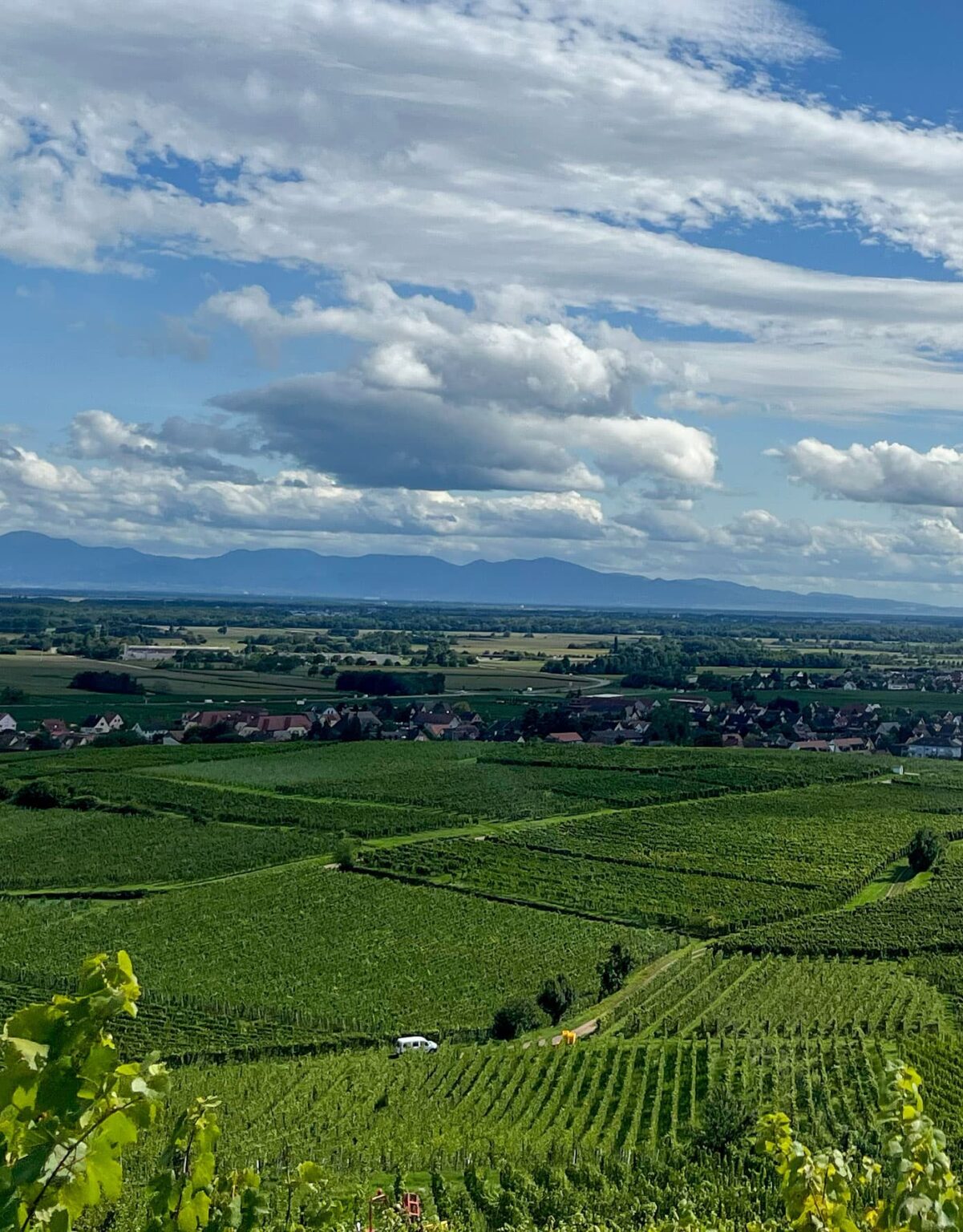 Domaine Jaegler husseren les Chateaux Eguisheim, Wintzenheim et Niedermorschwihr